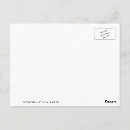 Echte vrouwen lezen Briefkaarten (Achterkant)