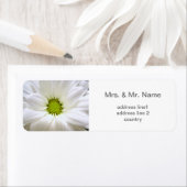 echte witte dagbloem bruiloft etiket (Insitu)