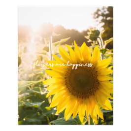 Echte Zonnebloem Foto Veld Bloemen Zijn Geluk Afdruk