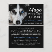 Echtgenoot, dierenarts, veterinaire dienst flyer (Voorkant)