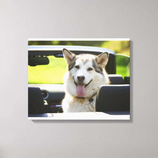 Echtgenoot van converteerbare hond canvas afdruk (Voorkant)