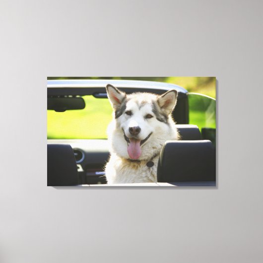 Echtgenoot van converteerbare hond canvas afdruk (Voorkant)