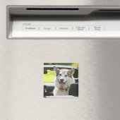 Echtgenoot van converteerbare hond magneet (Insitu (Vaatwasser))