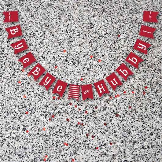 Echtscheiding Feest Viering Ex Hubby Start Verpakk Vlaggetjes