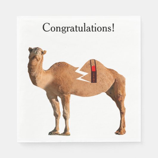 Echtscheiding Party servetten (Voorkant)