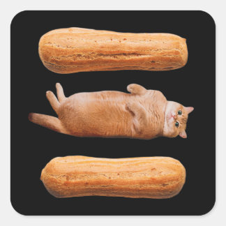 Eclairs Vierkante Sticker