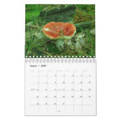 Eclectische Leuke Gnomen Engelen Poolse 2024 Kalen Kalender (Mar 2027)