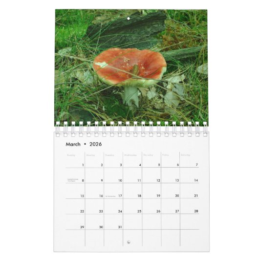 Eclectische Leuke Gnomen Engelen Poolse 2024 Kalen Kalender (Mar 2026)