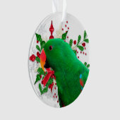 Eclectus Kerstmis Ornament (voorkant)
