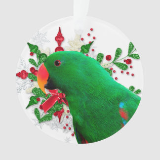 Eclectus Kerstmis Ornament