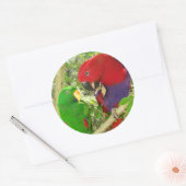 Eclectus Pair Ronde Sticker (Envelop)