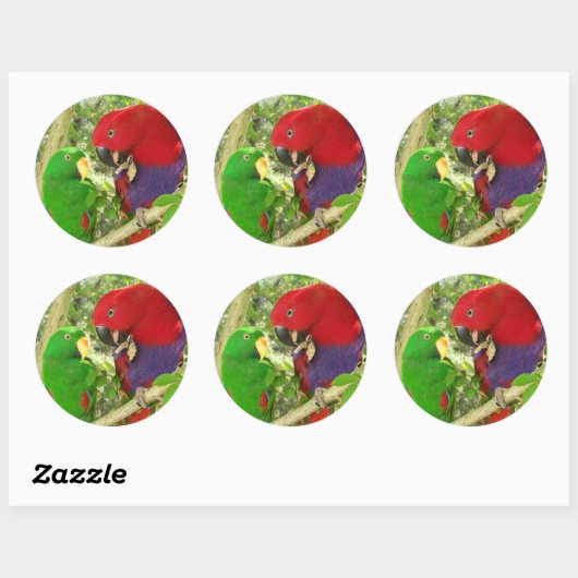 Eclectus Pair Ronde Sticker (Vel)