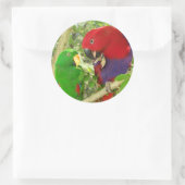 Eclectus Pair Ronde Sticker (Tas)