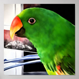 Eclectus Papegaai Vierkant Poster