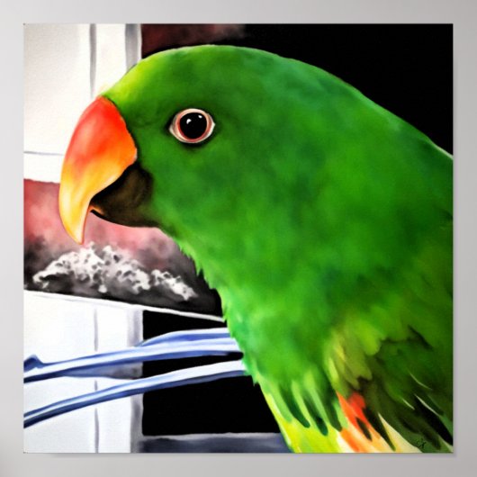 Eclectus Papegaai Vierkant Poster (Voorkant)