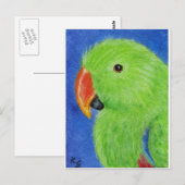 Eclectus Parrot Briefkaart (Voorkant / Achterkant)