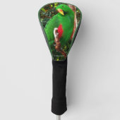 Eclectus Parrot Golfheadcover (Voorkant)