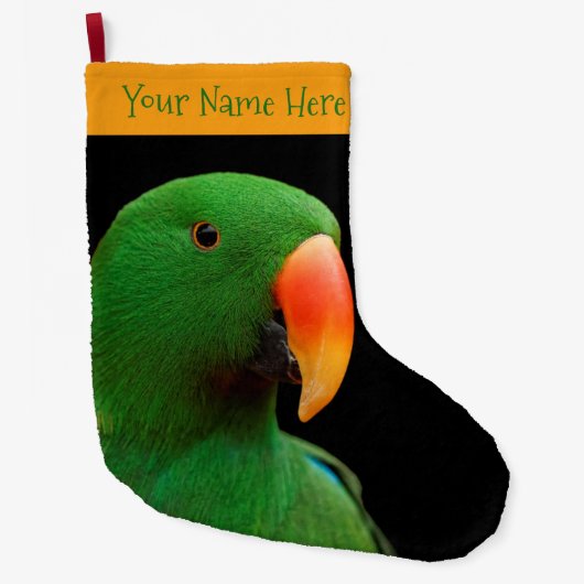 Eclectus Parrot Grote Kerstsok (Voorkant)