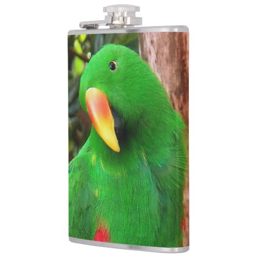 Eclectus Parrot Heupfles (Links)