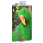 Eclectus Parrot Heupfles (Rechts)