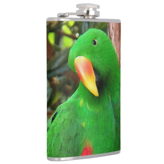 Eclectus Parrot Heupfles (Rechts)