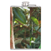 Eclectus Parrot Heupfles (Achterkant)