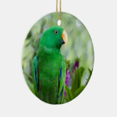 Eclectus Parrot Male Keramisch Ornament (Rechts)