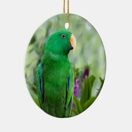 Eclectus Parrot Male Keramisch Ornament (Rechts)