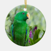Eclectus Parrot Male Keramisch Ornament (Voorkant)