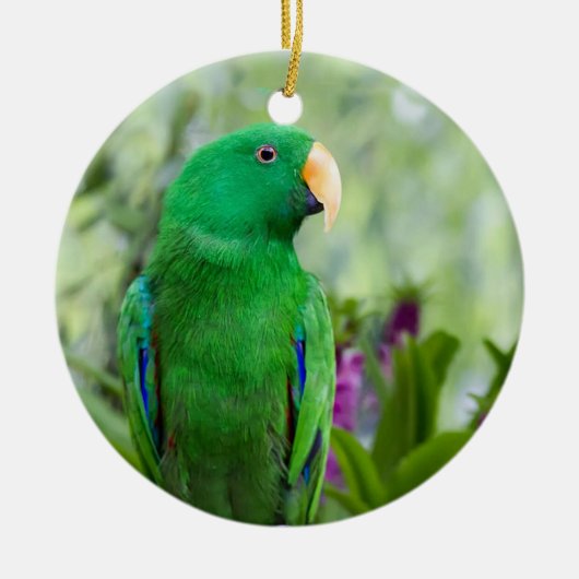 Eclectus Parrot Male Keramisch Ornament (Voorkant)