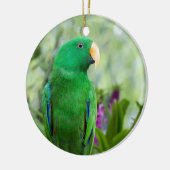 Eclectus Parrot Male Keramisch Ornament (Links)