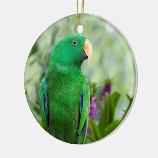 Eclectus Parrot Male Keramisch Ornament (Links)