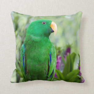 Eclectus Parrot Male Kussen