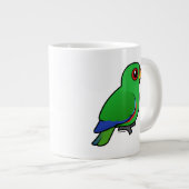 Eclectus Parrot-mannetje Grote Koffiekop (Voorkant rechts)