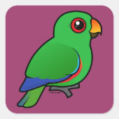 Eclectus Parrot-mannetje Vierkante Sticker (Voorkant)