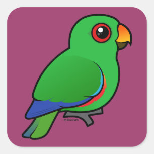 Eclectus Parrot-mannetje Vierkante Sticker