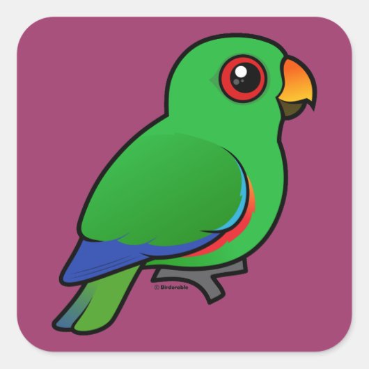 Eclectus Parrot-mannetje Vierkante Sticker (Voorkant)