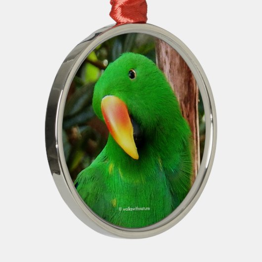 Eclectus Parrot Metalen Ornament (Rechts)