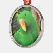 Eclectus Parrot Metalen Ornament (Links)