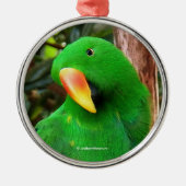 Eclectus Parrot Metalen Ornament (Voorkant)