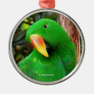 Eclectus Parrot Metalen Ornament