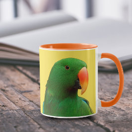 Eclectus Parrot Mok