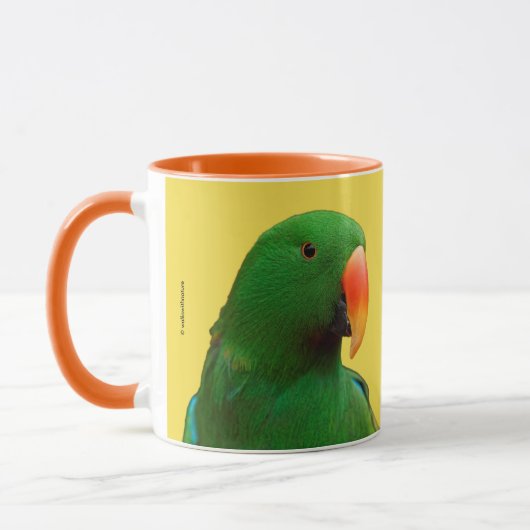 Eclectus Parrot Mok (Links)