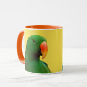 Eclectus Parrot Mok (Voorkant links)