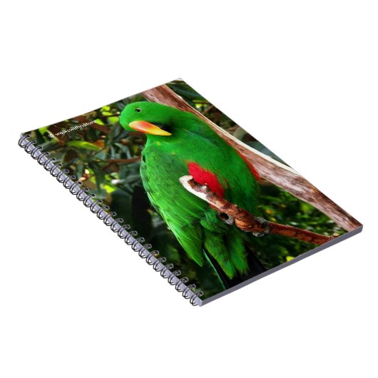 Eclectus Parrot Notitieboek (Rechterzijde)