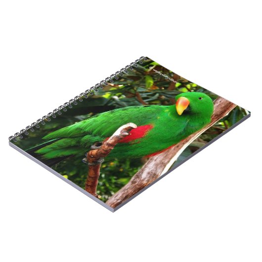 Eclectus Parrot Notitieboek (Linkerzijde)