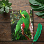 Eclectus Parrot Notitieboek