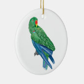 Eclectus Parrot Ornament (Rechts)