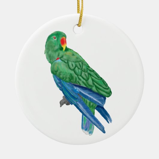 Eclectus Parrot Ornament (Voorkant)