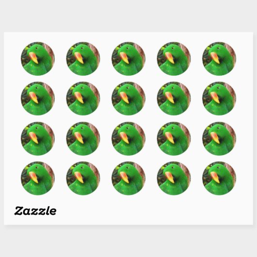 Eclectus Parrot Ronde Sticker (Vel)